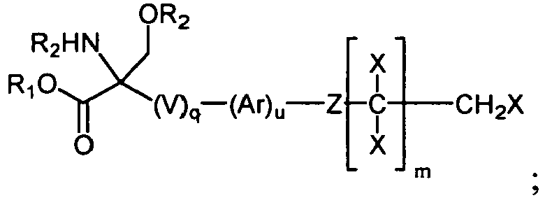 Figure imgb0299