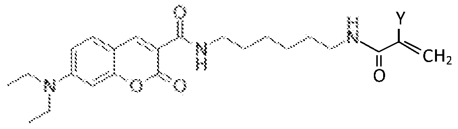 Figure imgf000053_0002