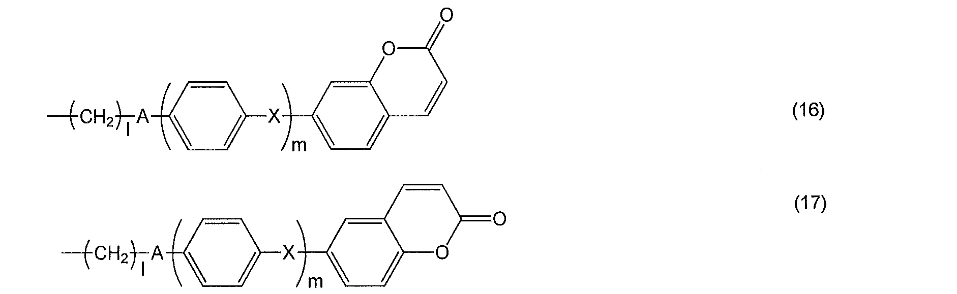 Figure JPOXMLDOC01-appb-C000041