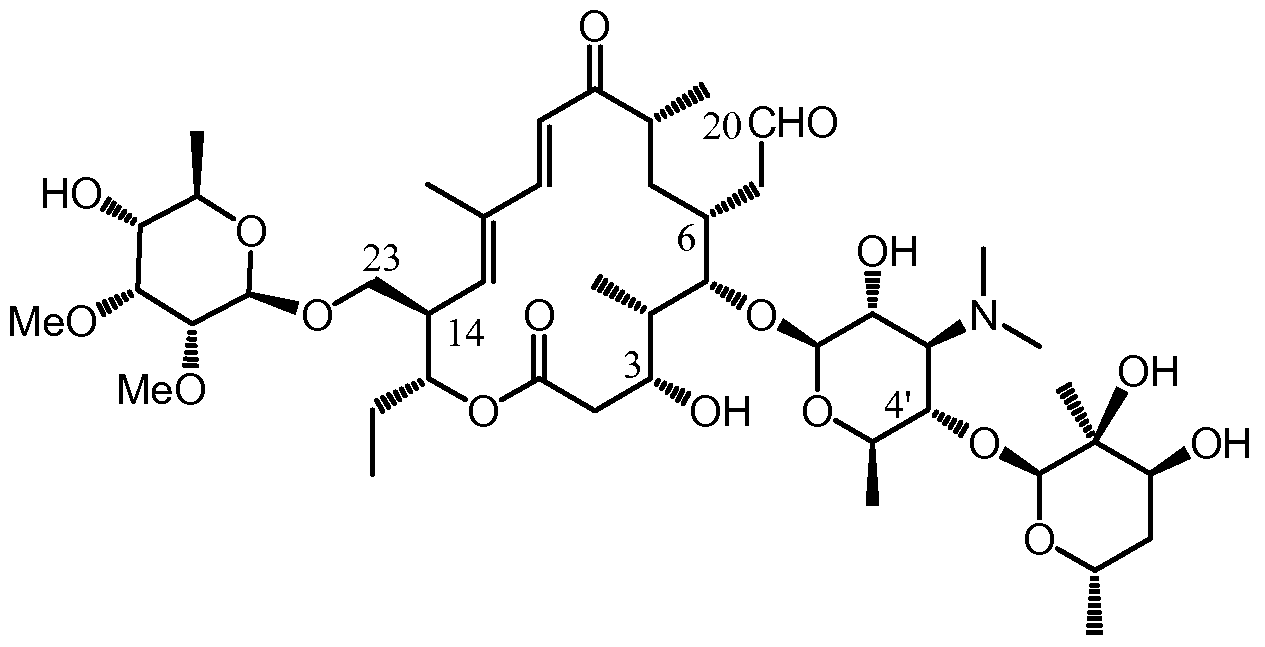 Figure imgf000004_0001