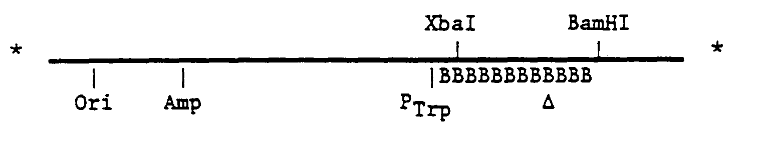 Figure imgb0012