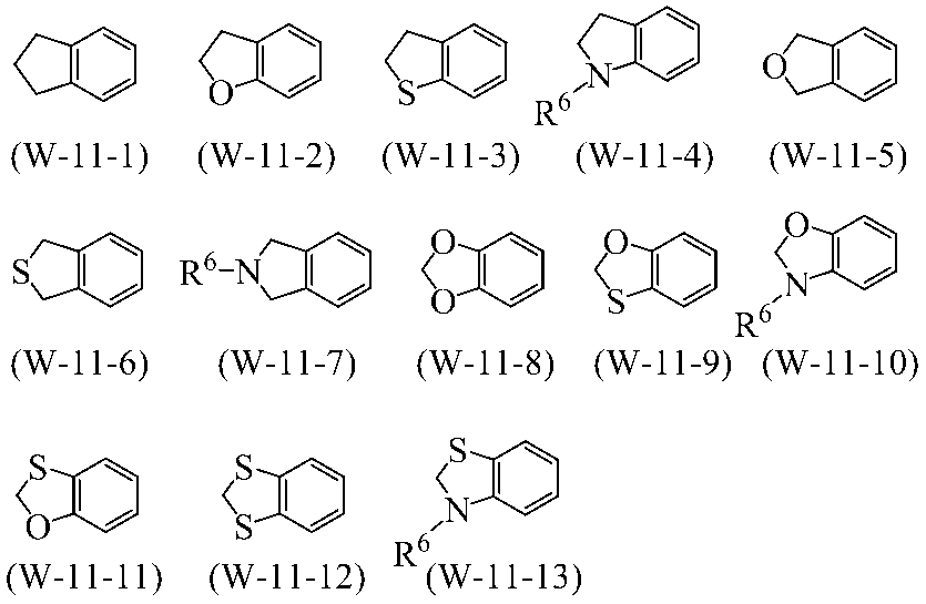 Figure JPOXMLDOC01-appb-C000019