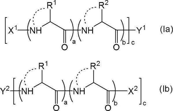 Figure JPOXMLDOC01-appb-C000005