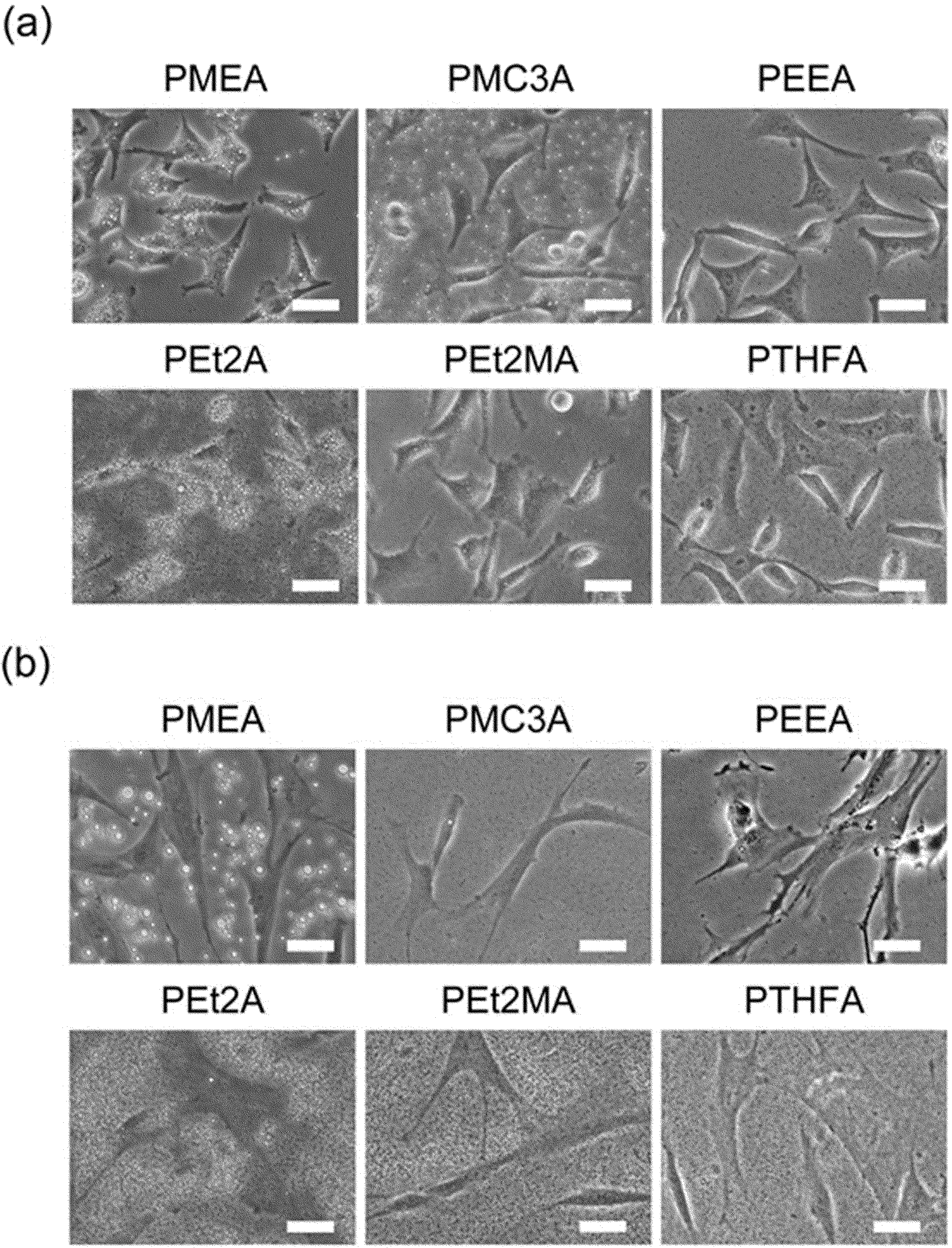 Woa1 中間水を含有可能な非水溶性ポリマーの水和方法 Google Patents