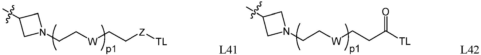 Figure imgb0245