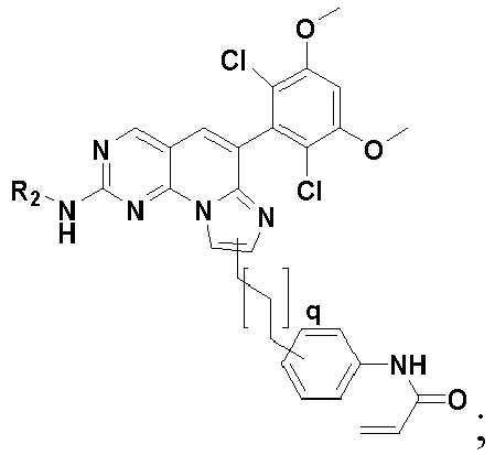 Figure imgb0010