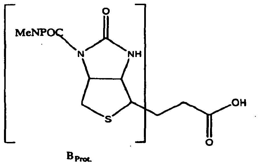 Figure imgb0001