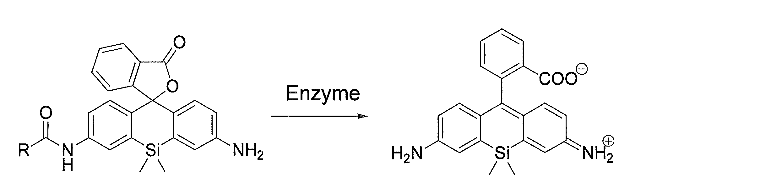 Figure JPOXMLDOC01-appb-C000034