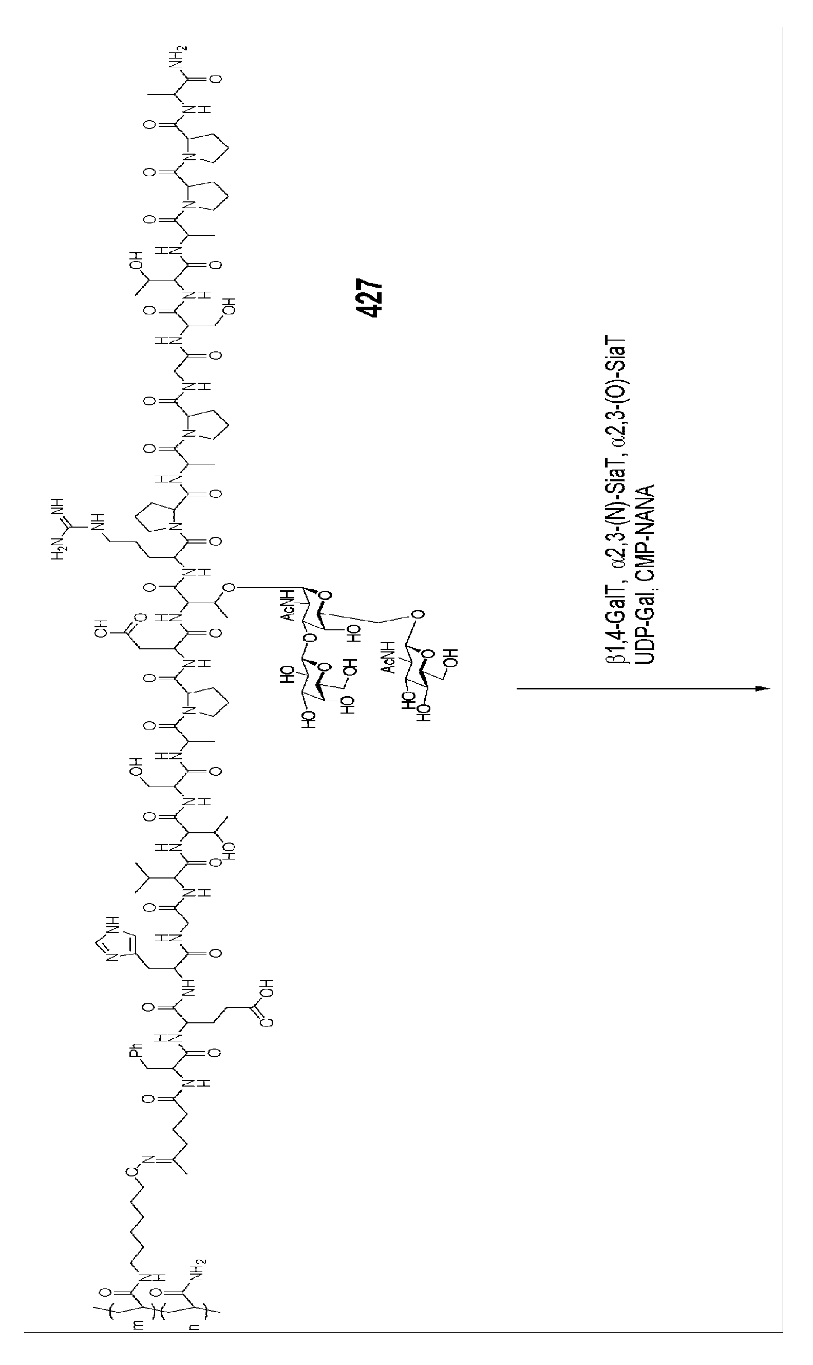 Figure imgb0553