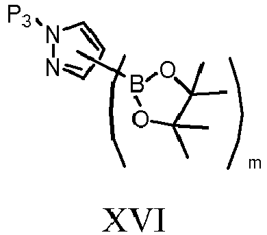 Figure imgb0302