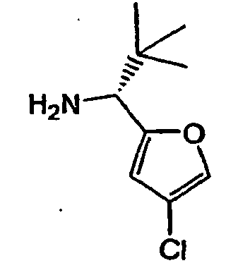 Figure imgb2213