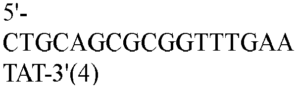 Figure imgb0004