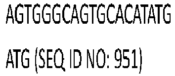 Figure imgb0339