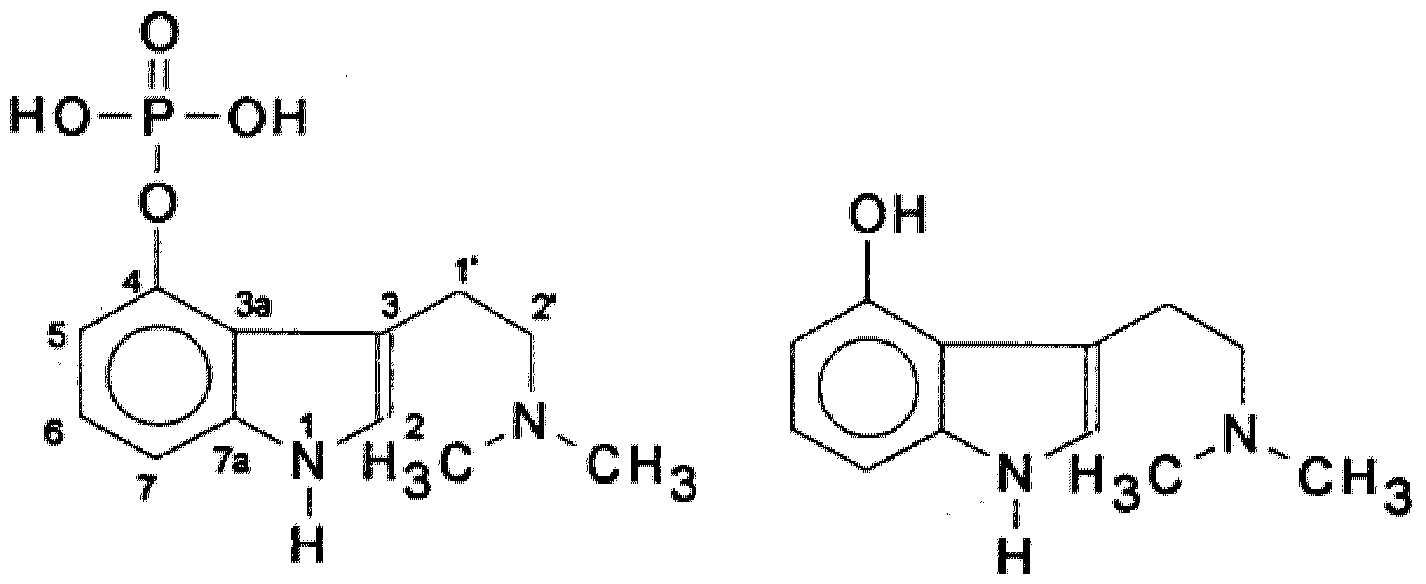 Figure imgf000002_0001
