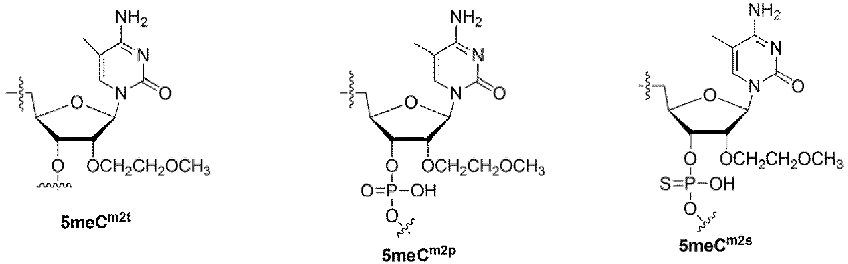 Figure imgb0024