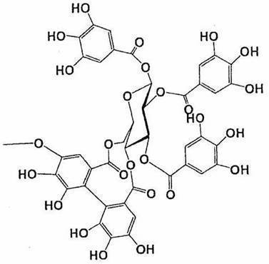 Figure JPOXMLDOC01-appb-C000018