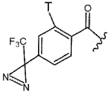 Figure imgb0060