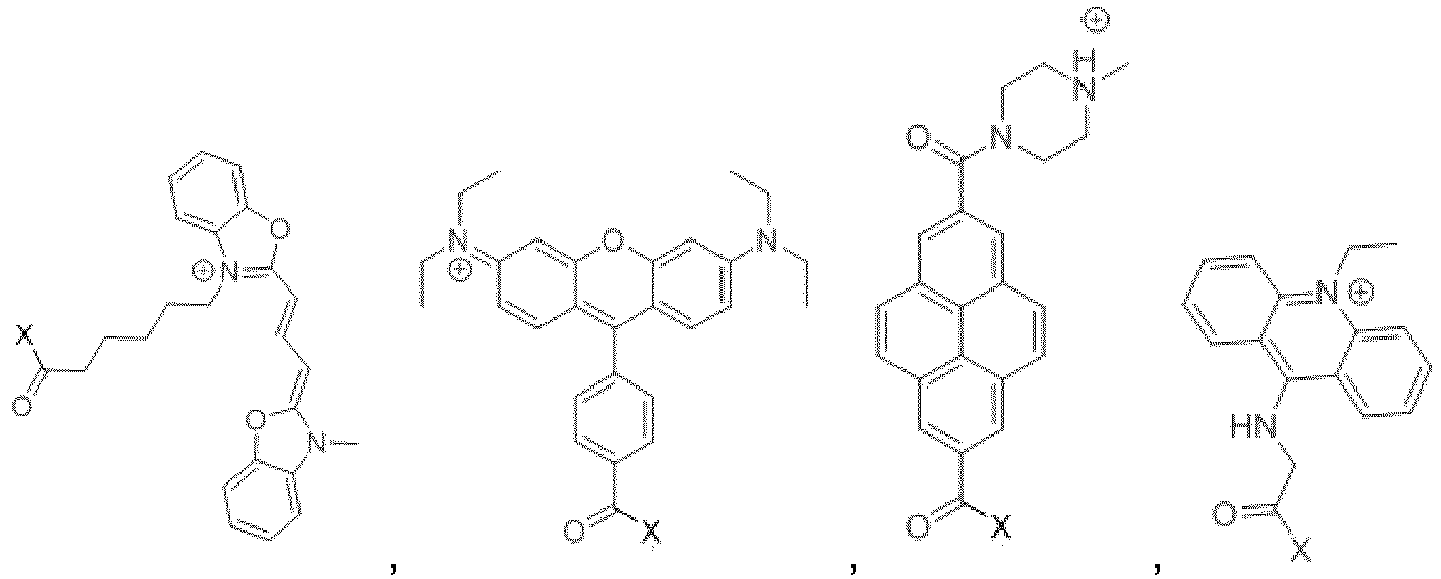 Figure imgb0002