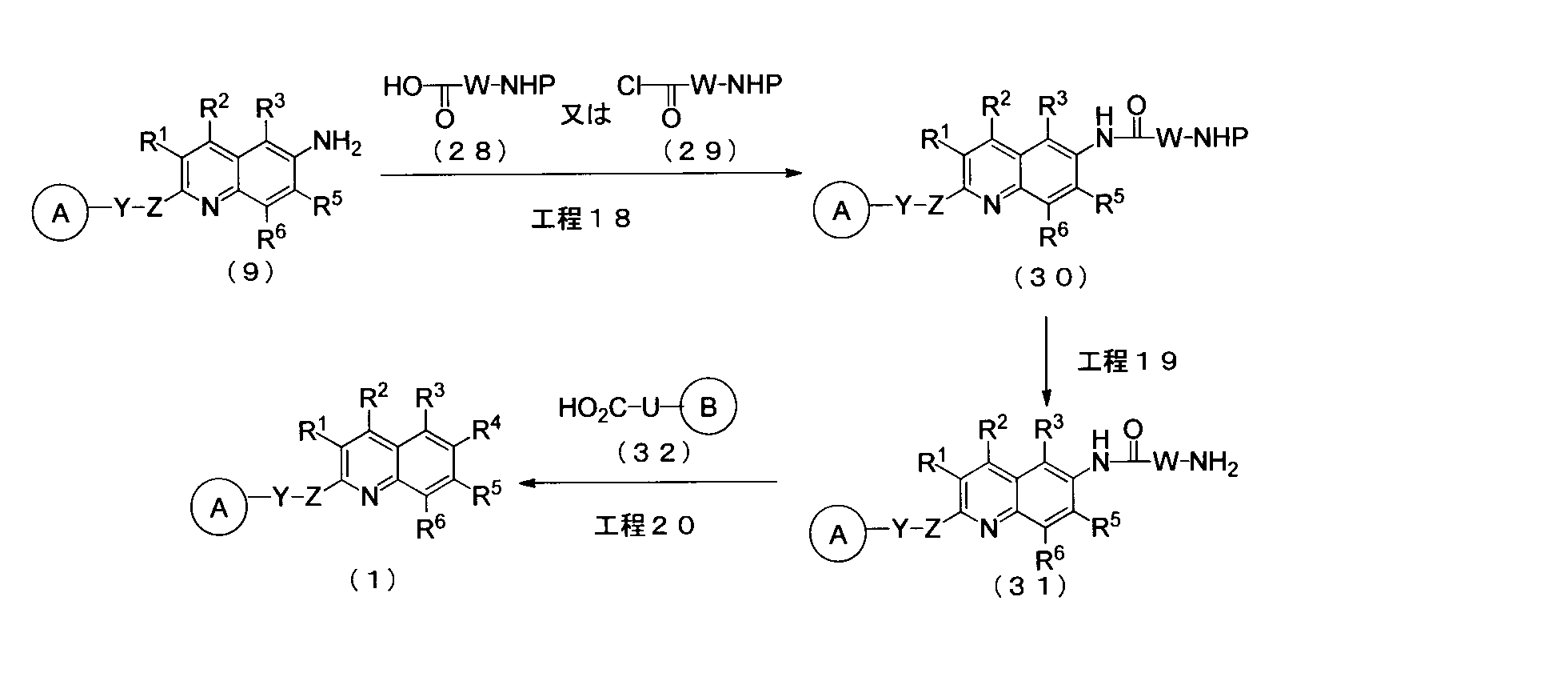 Figure JPOXMLDOC01-appb-C000029
