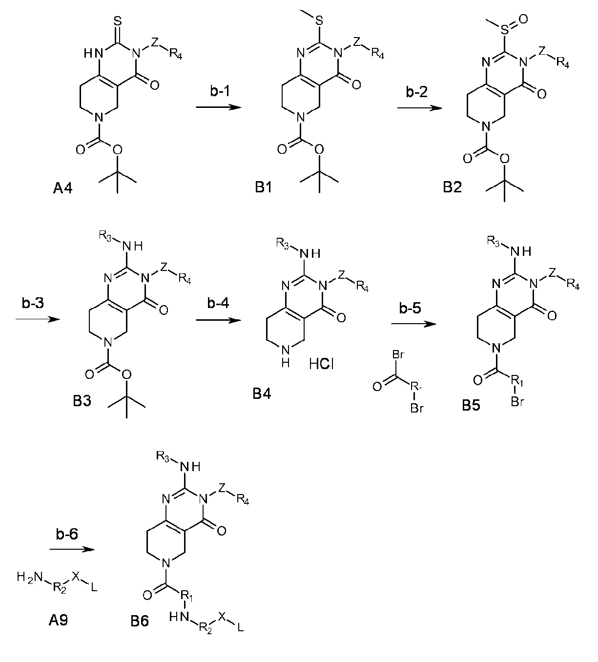 Figure JPOXMLDOC01-appb-C000025
