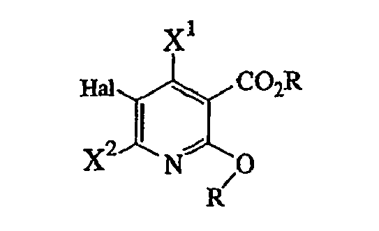 Figure imgb0028