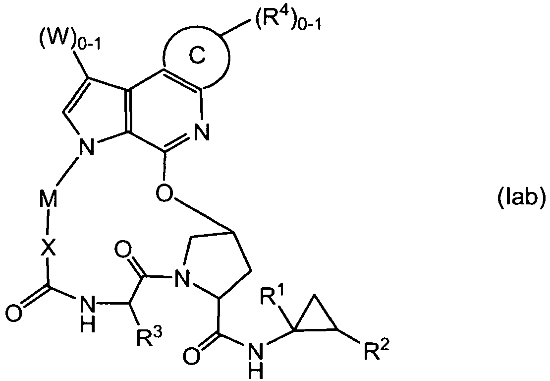 Figure imgb0011