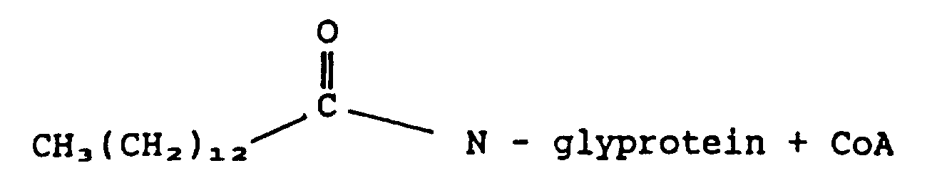 Figure imgb0044