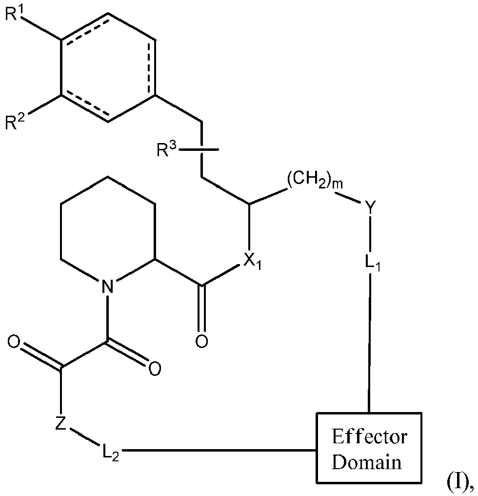 Figure imgb0132
