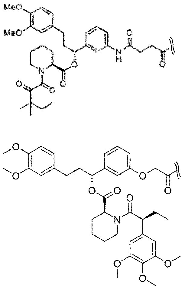 Figure JPOXMLDOC01-appb-C000016