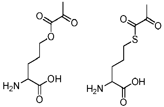 Figure imgb0048