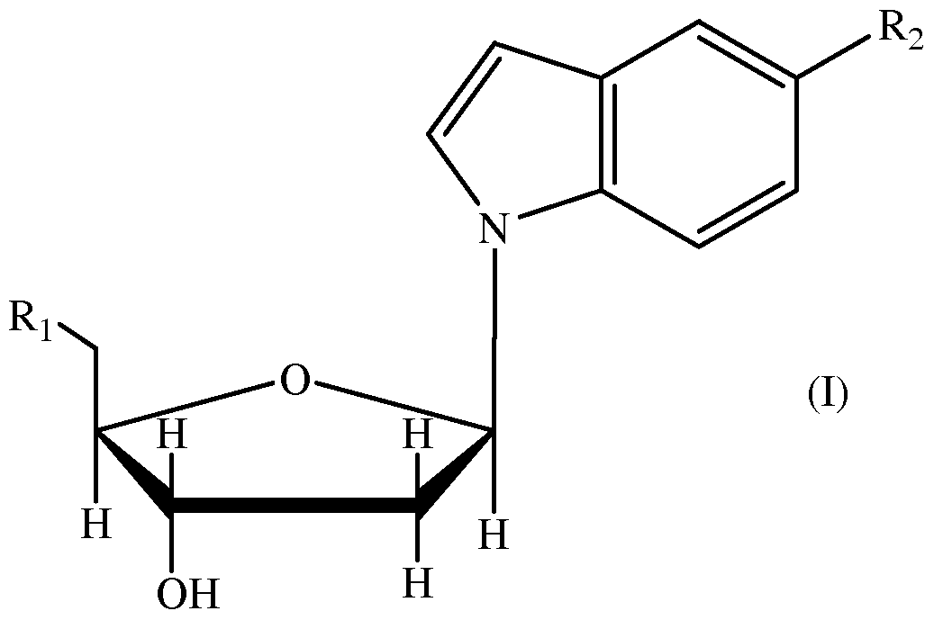 Figure imgf000006_0001