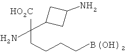 Figure 00000224