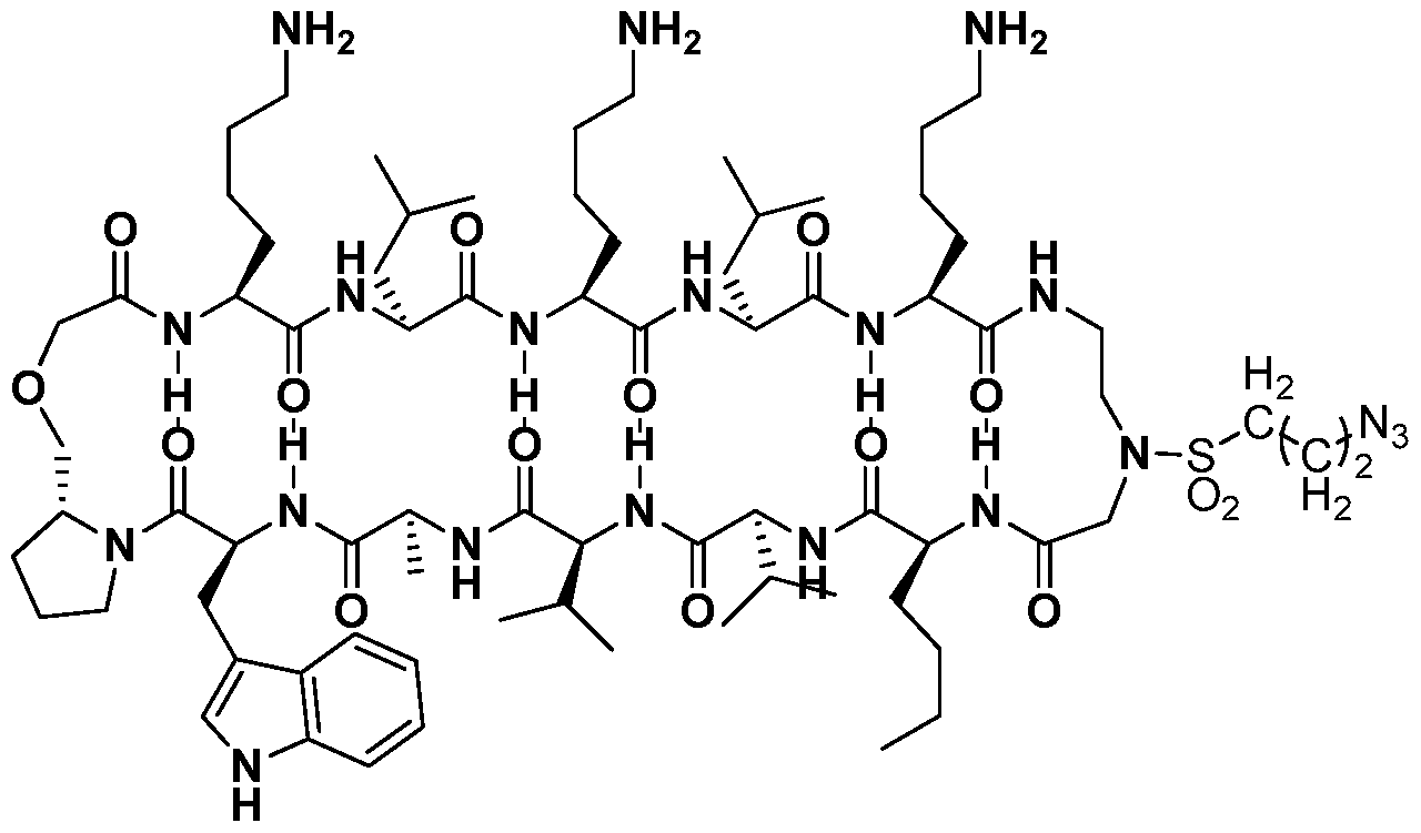 Figure imgf000070_0001