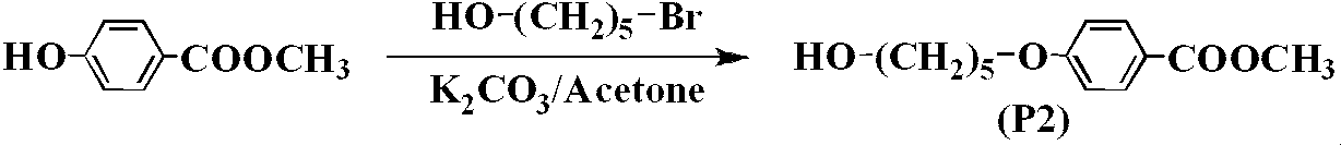 Figure JPOXMLDOC01-appb-C000046