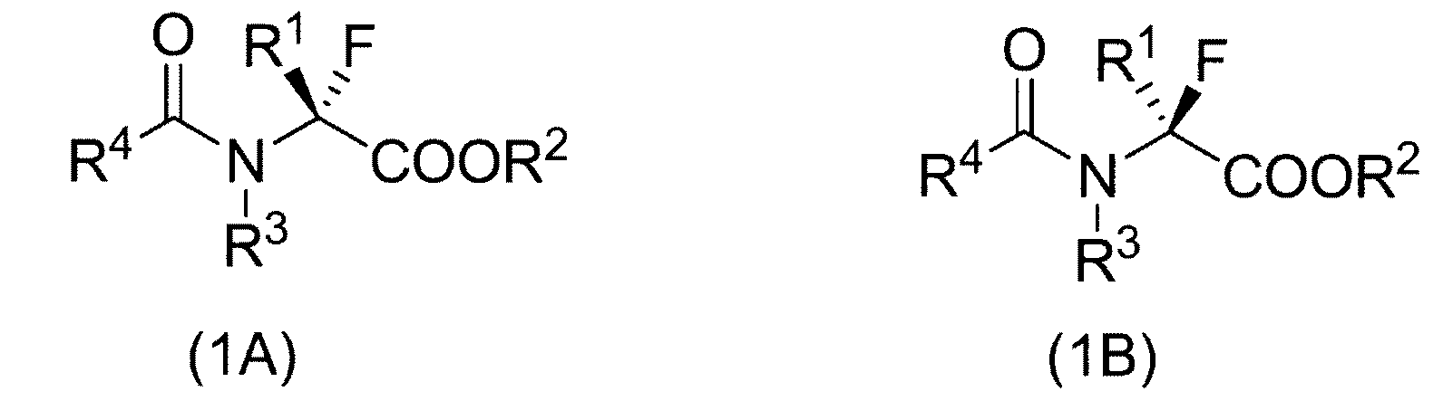Figure JPOXMLDOC01-appb-C000003