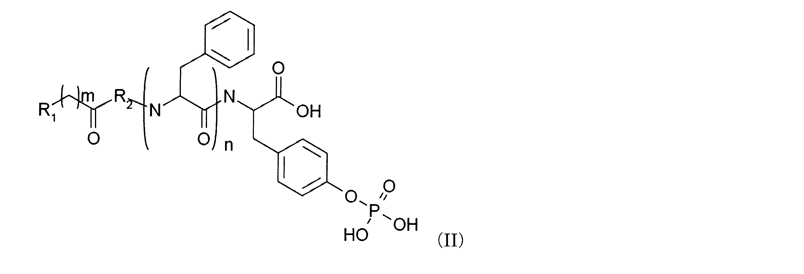 Figure JPOXMLDOC01-appb-C000008