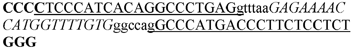 Figure imgb0188