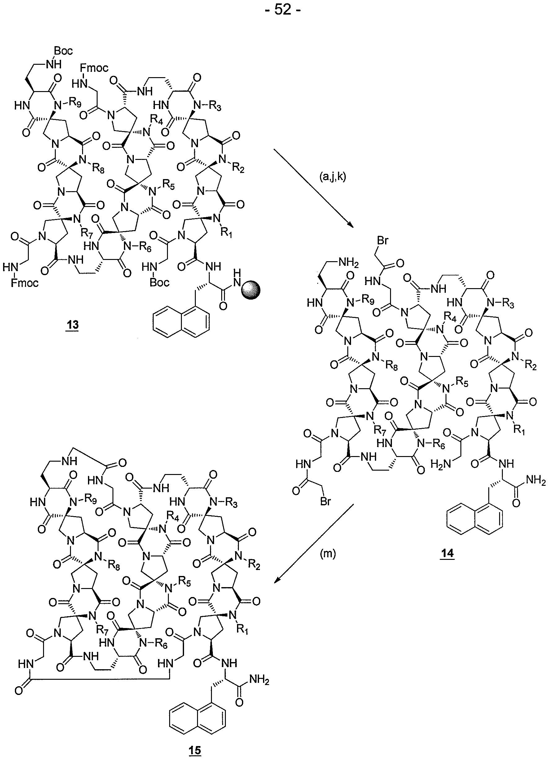 Figure imgf000053_0001