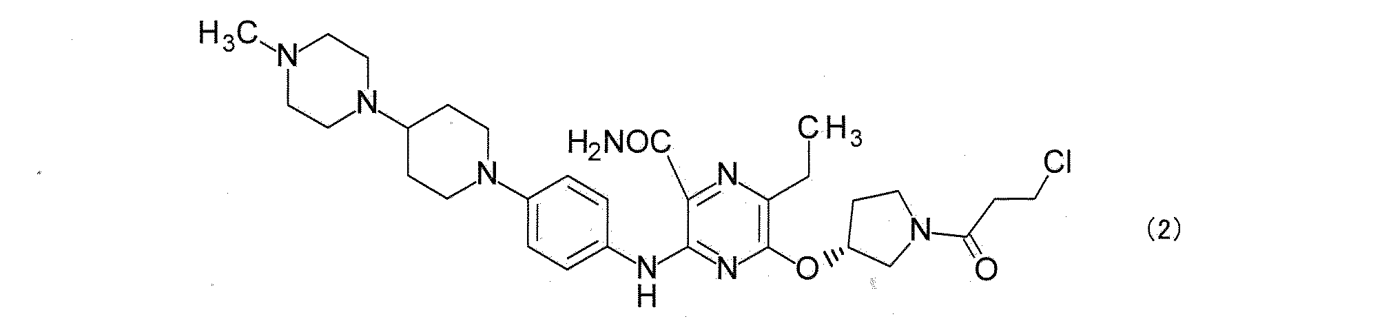 Figure JPOXMLDOC01-appb-C000013