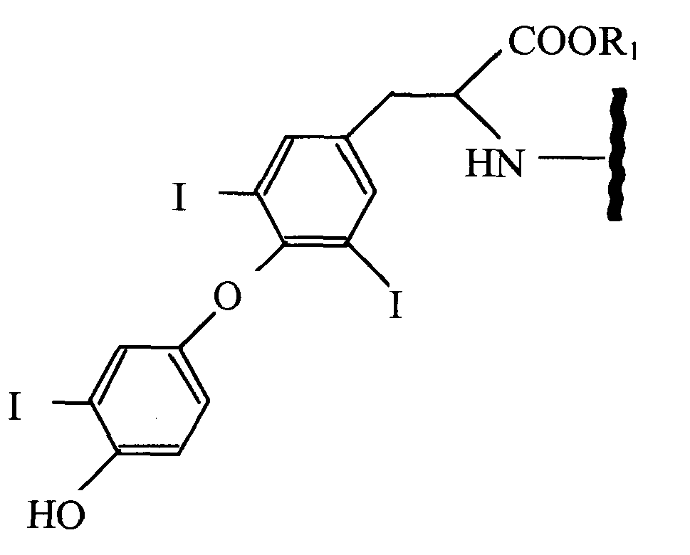 Figure imgb0023