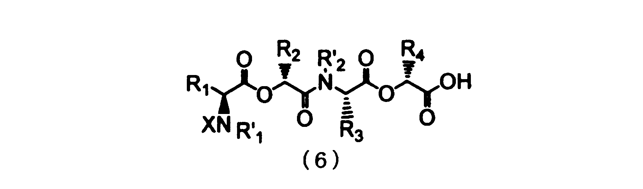 Figure JPOXMLDOC01-appb-C000023