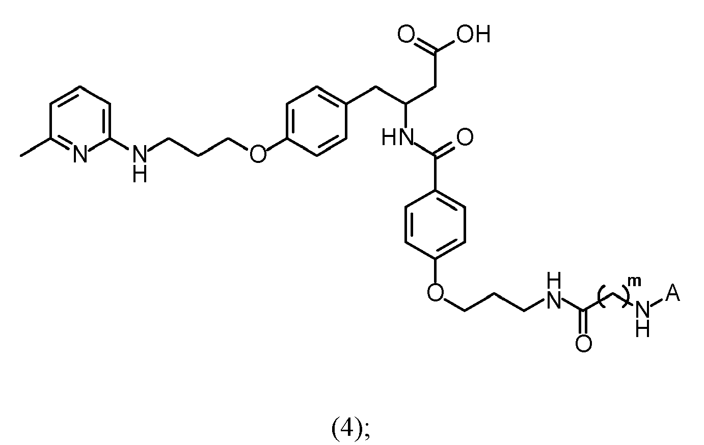 Figure imgb0031