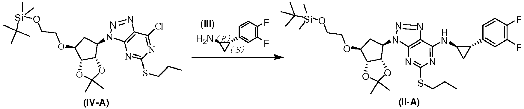 Figure imgb0019
