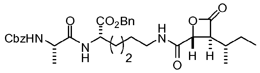 Figure imgf000026_0001