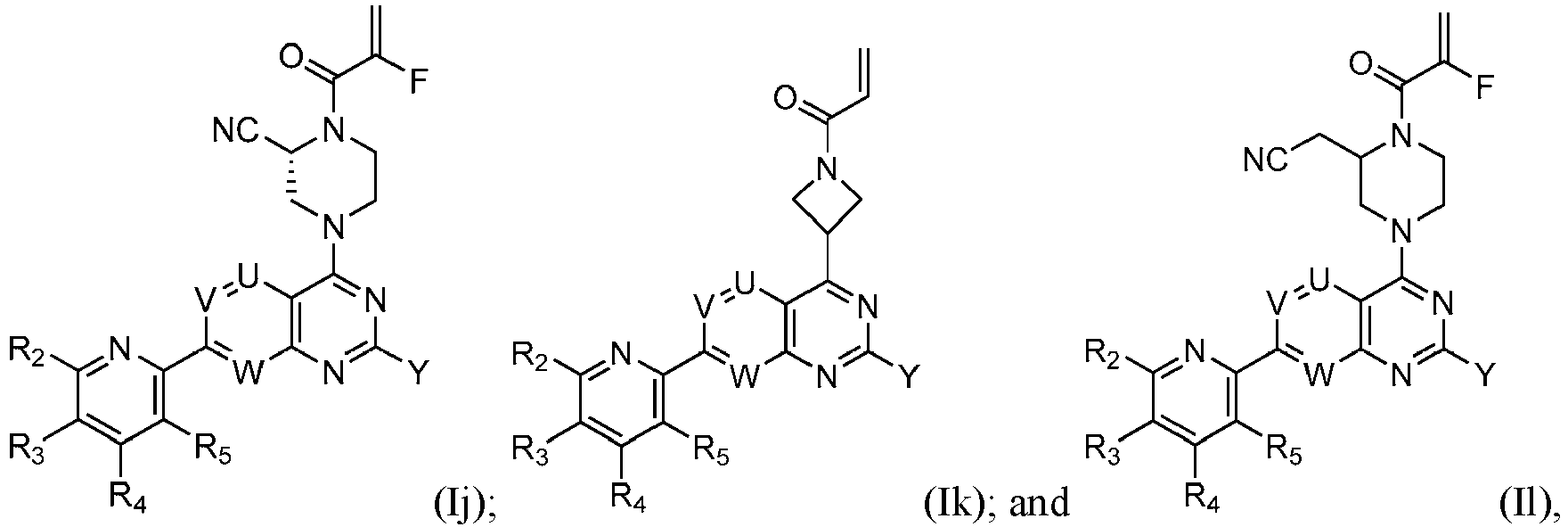 Figure imgb0307