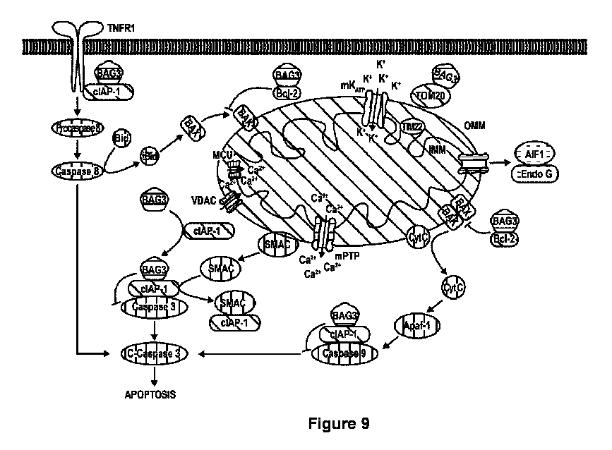 Figure 2024540887000001