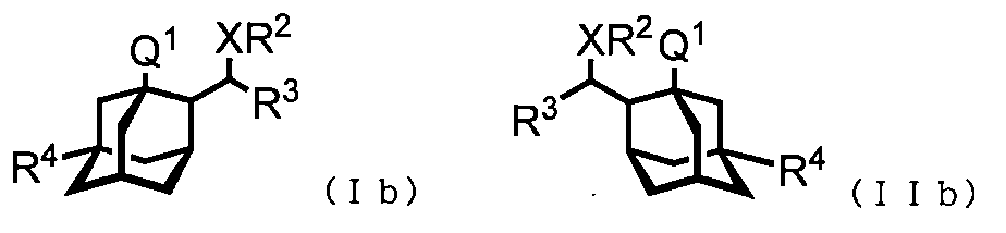 Figure JPOXMLDOC01-appb-C000011