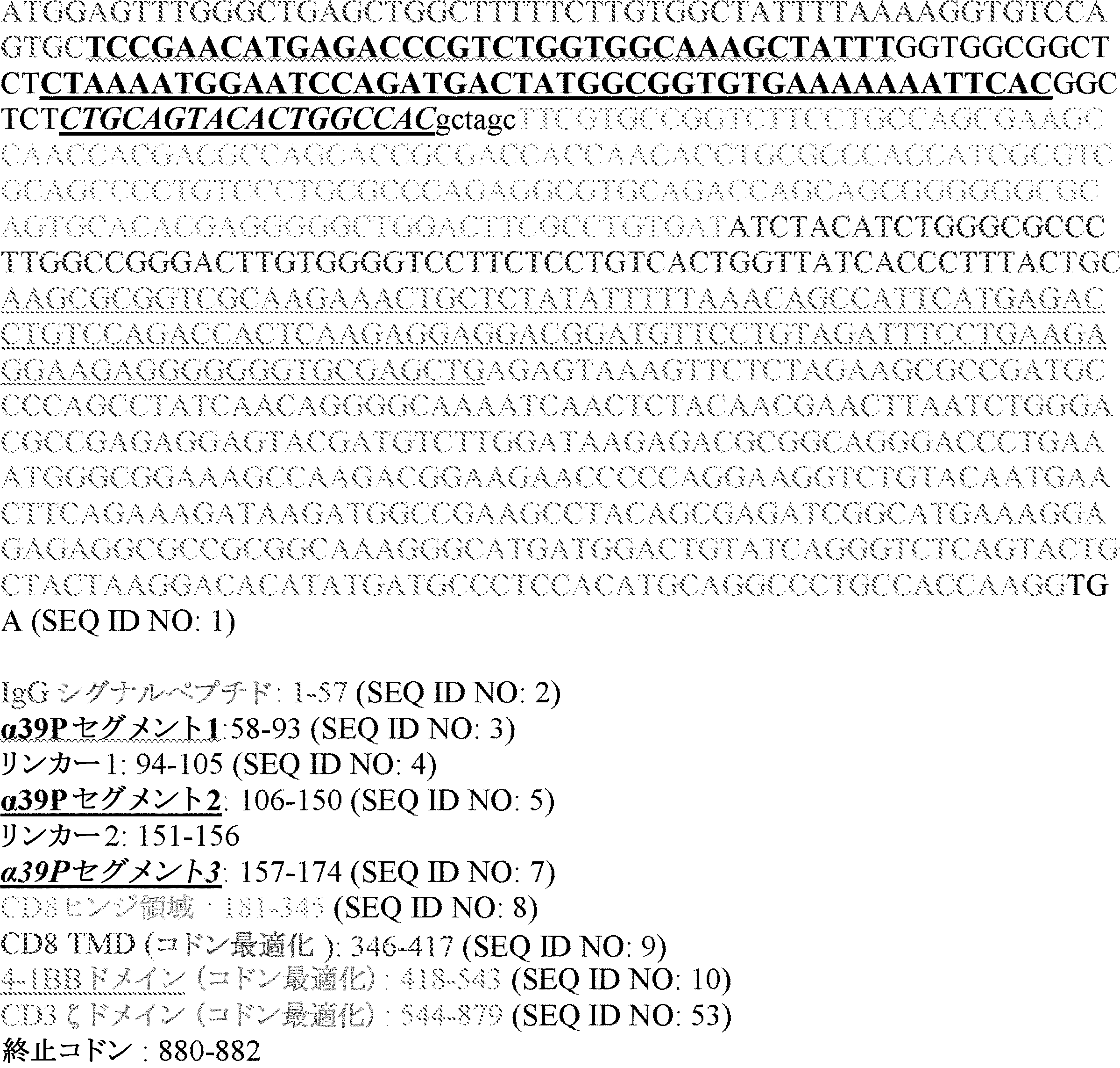 Figure 0007649755000015