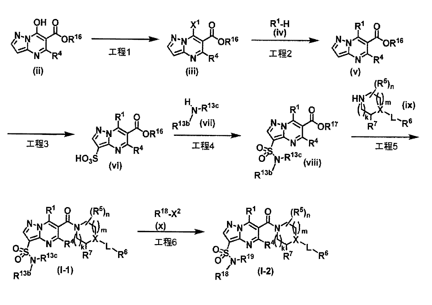 Figure JPOXMLDOC01-appb-C000029