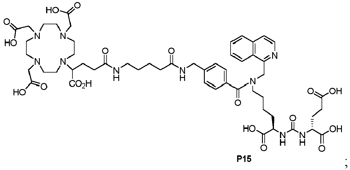 Figure imgb0199